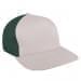 Putty Low Crown 5 Panel-Hunter Green Back Half
