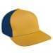 Athletic Gold Low Crown 5 Panel-Navy Back Half