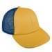 Athletic Gold Lowstyle Structured-Navy Back Half