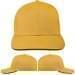 Athletic Gold-Black Wool Leather Prostyle, Virtual Image