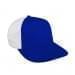 Royal Blue Prostyle Structured-White Back Half