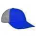 Royal Blue Unstructured "Dad"-Light Gray Back Half