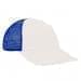 White Unstructured "Dad"-Royal Blue Back Half