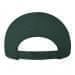 Hunter Green-Khaki Brushed Snapback Dad Cap, Back Image